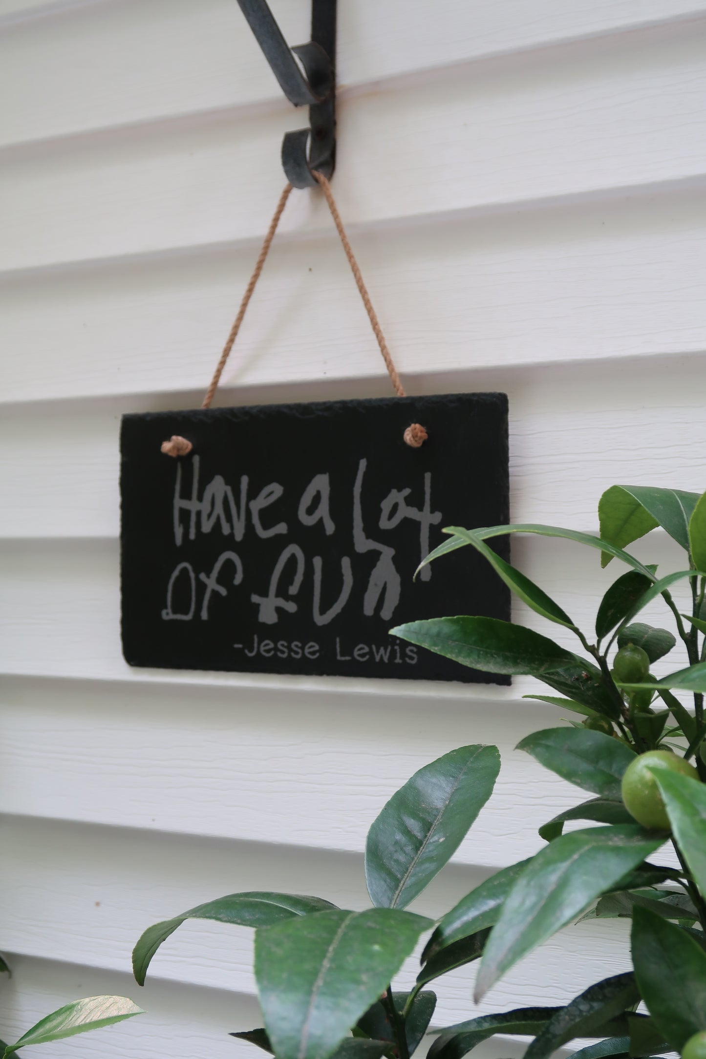 Slate Sign - Have a Lot of Fun