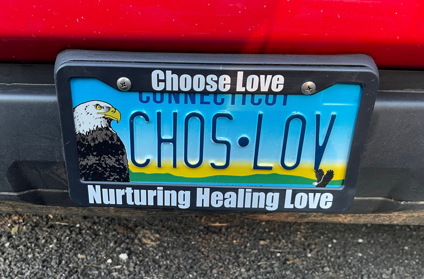 License Plate Frame