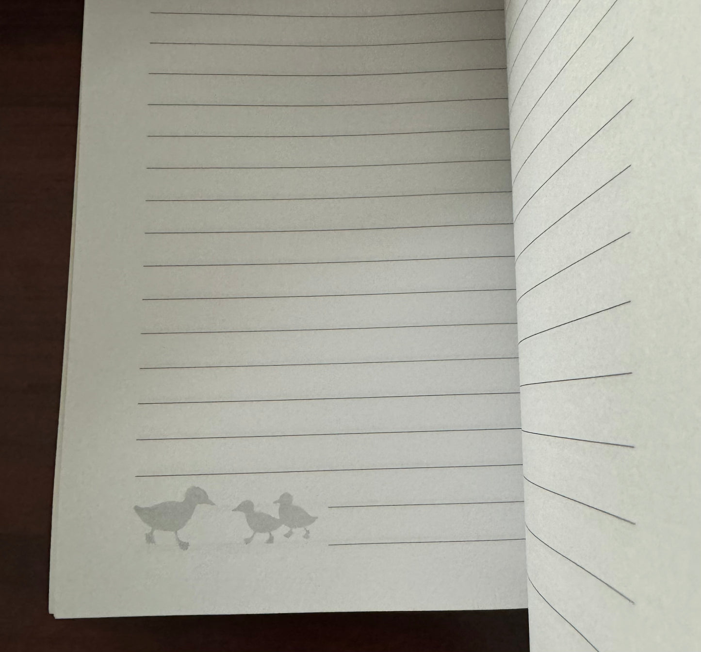 "Daily Dose" Choose Love Journal