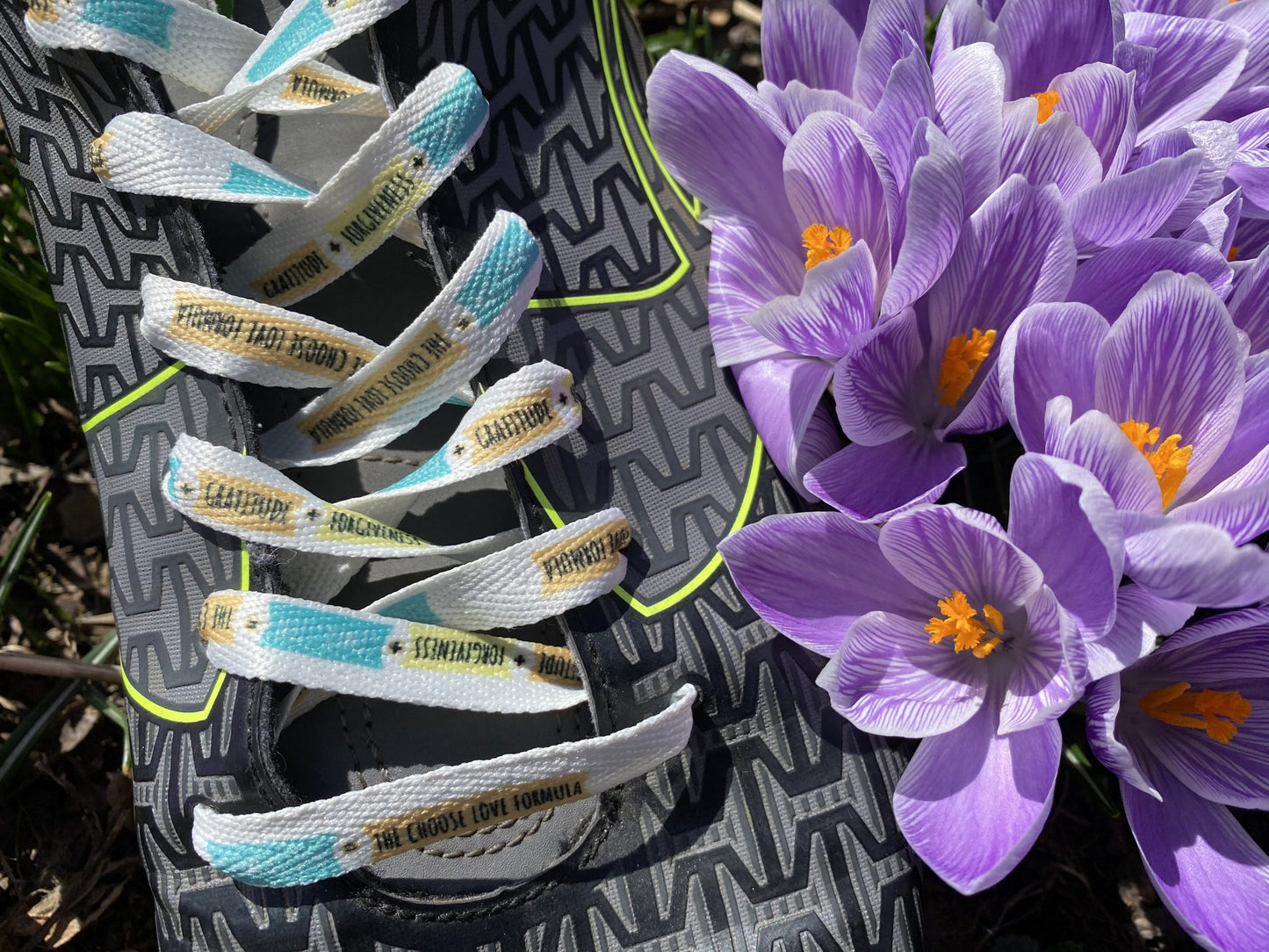Shoelaces with Love