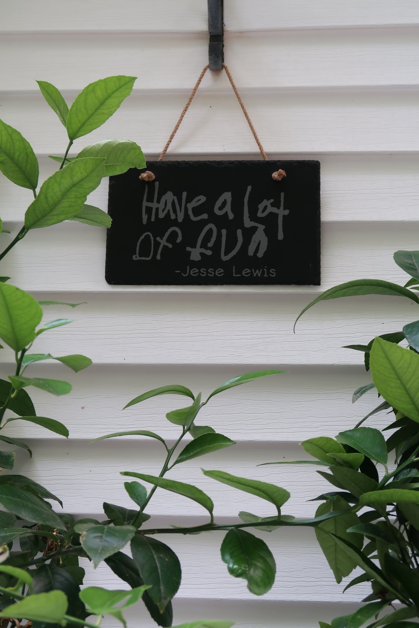 Slate Sign - Have a Lot of Fun